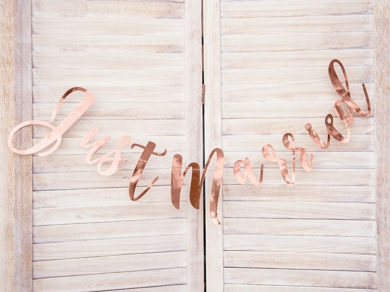 Banner Just Married Rose Gull