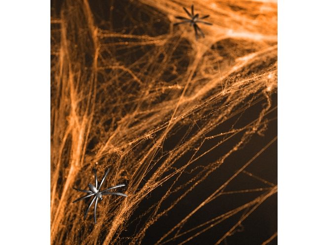 Hovedbilde Spiderweb Oransje